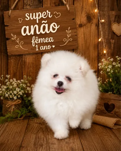 Super anão 