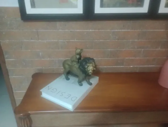 Leão e sua cria. Decoração