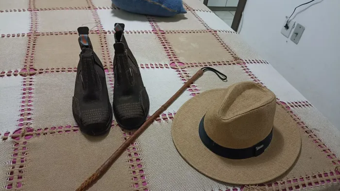 Bota, rédea e chapéu 