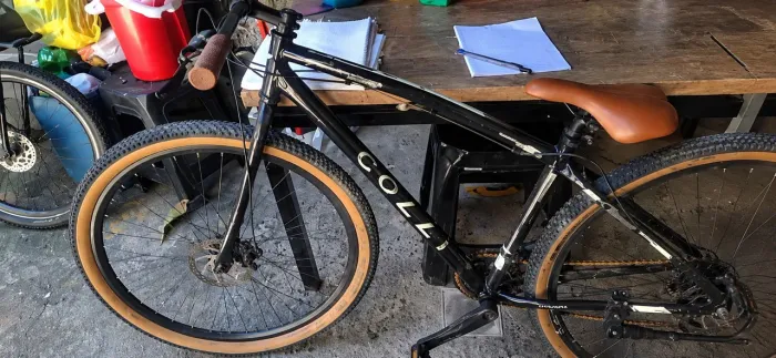 Bicicleta colli aro 29