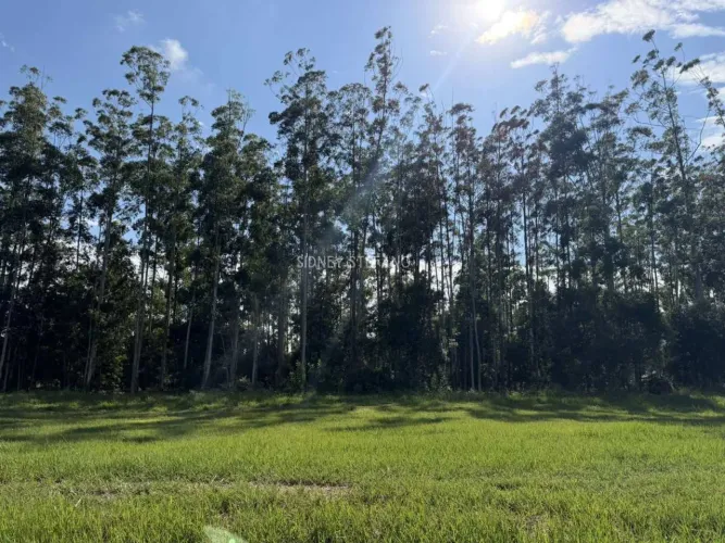 Terreno Fundo Área Verde de 583 m² próximo à portaria de serviços do Santa Bárbara Resort