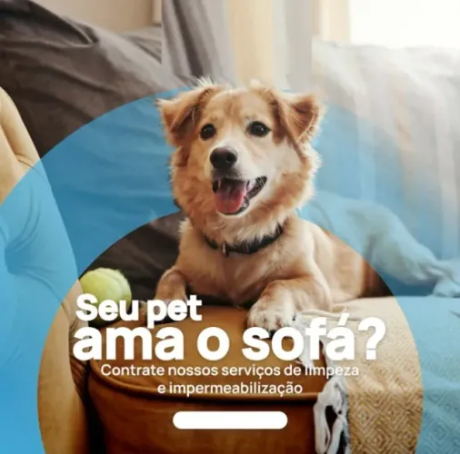 Lavagem a seco - não jogue lave