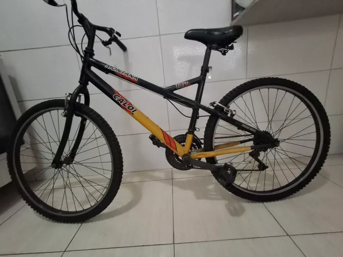 Bicicleta