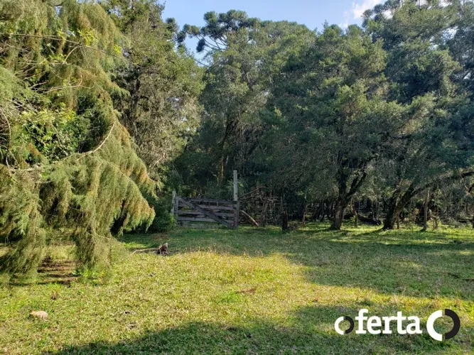 Chácara em Araucária