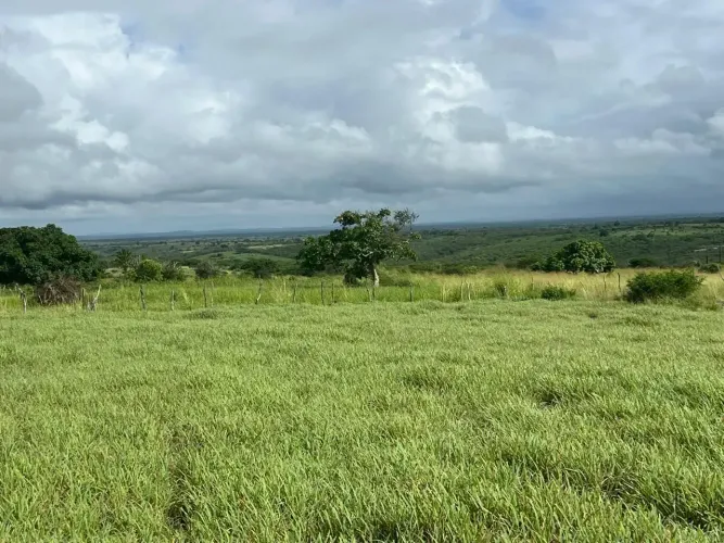 FAZENDINHA 30 TAREFAS CATU ESCRITURANDA 180 mil