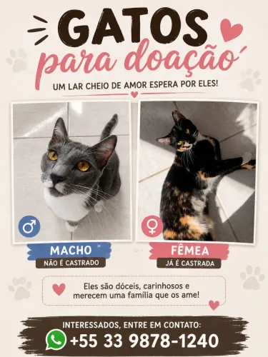 Doação