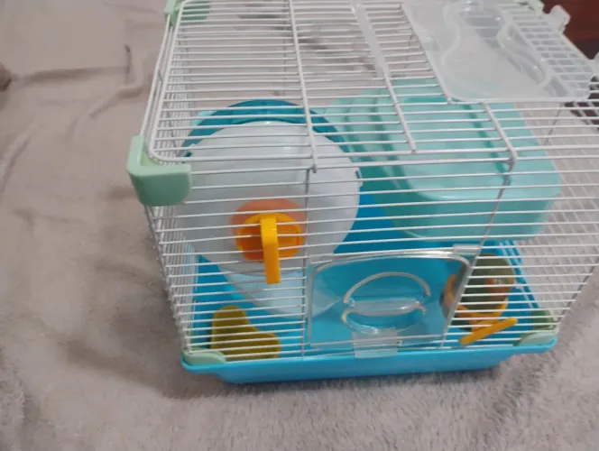 Gaiola para hamster!