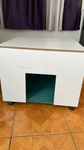 Casinha para cães e gatos