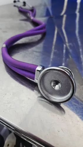 Estetoscópio Rappaport Roxo Icoterm