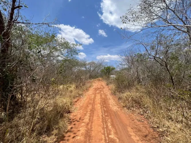 Área rural á venda no sul do Piauí com 2.179 hectares, a 78 km da cidade de Bom Jesus.