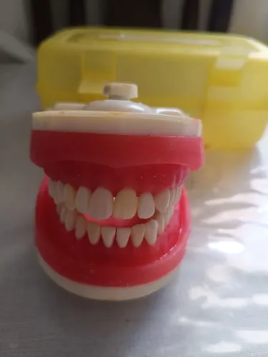 Manequim de dentistica