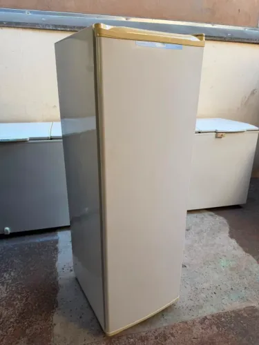 Freezer Vertical Slim 