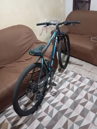 ARO 29