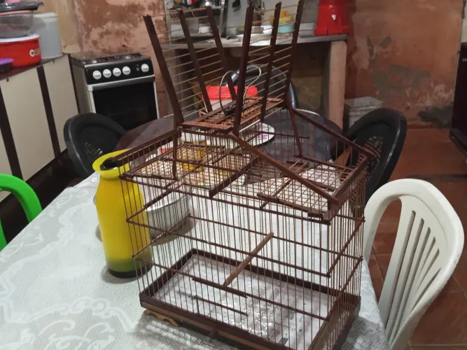 Vende se gaiola de madeira Massaranduba 2 assopao