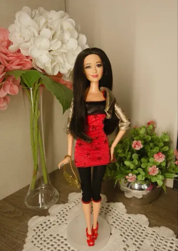 Barbie Raquelle Life in the Dreamhouse
