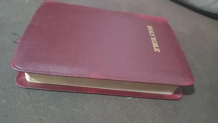 Bíblia de bolso americana em inglês