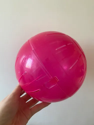 Bolinha hamster