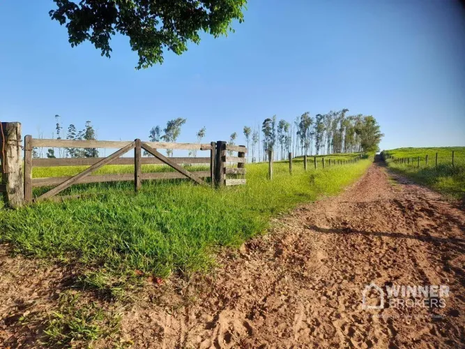 Chácara à venda, 72600 m² por R$ 600.000,00 - Rural - Mariluz/PR