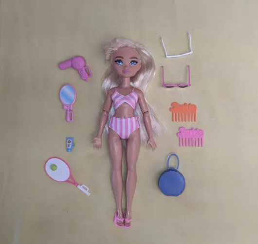 Lote Barbie Dream Bestie Malibu Dia de Praia