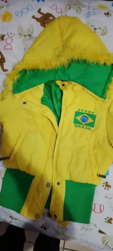 Jaqueta Brasil, Amarela e Verde com Capuz ?
