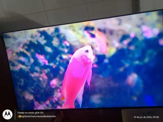 Tv TCL 55 polegadas