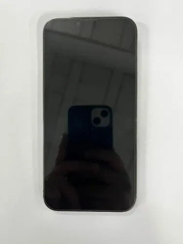 iPhone 13 Pro Max 1TB ? Impecável