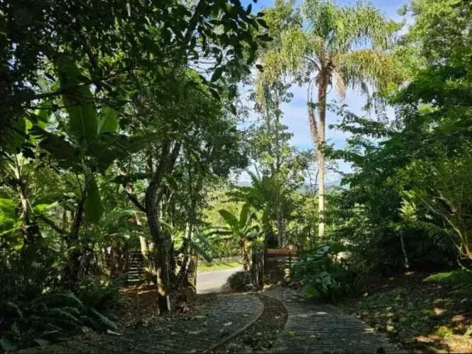 Terreno à venda, 1895 m² por R$ 1.010.000,00 - Canasvieiras - Florianópolis/SC