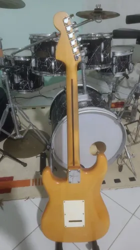 Guitarra tagima seize