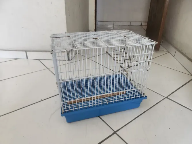 Vendo gaiola semi-nova 