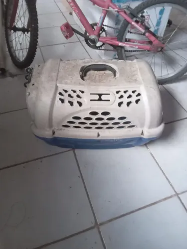 Transporte de cachorro