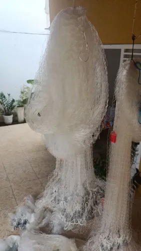 Tarrafa