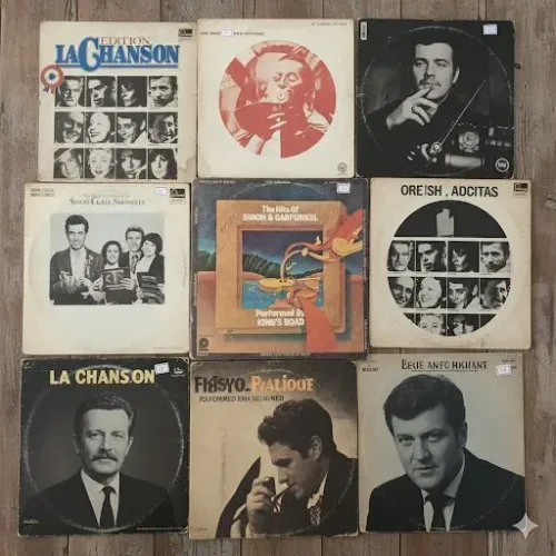 Discos de Vinis diversos títulos Lote 113 LPs