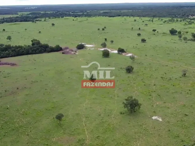 Fazenda 375 Alqueires (1.766 hectares) Araguaçu - TO