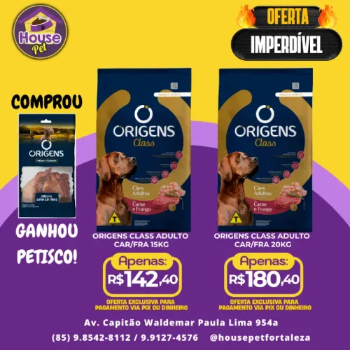 Origens Class Premium Especial Adulto