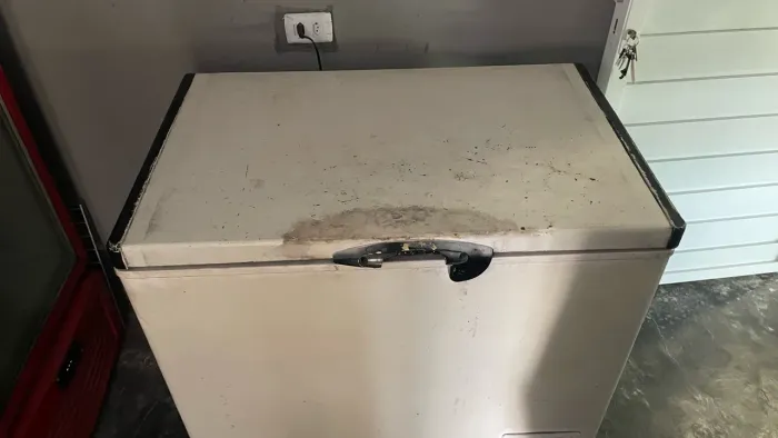 Freezer horizontal