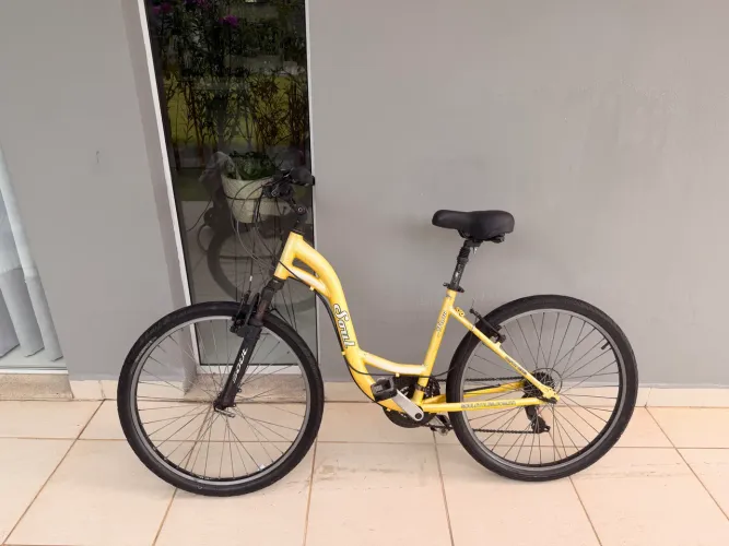 bicicleta soul flow