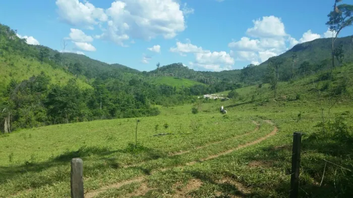 Fazenda 75 alq. Niquelandia R$ 6.000.000