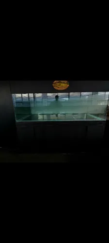 Vendo Aquário grande novo completo 