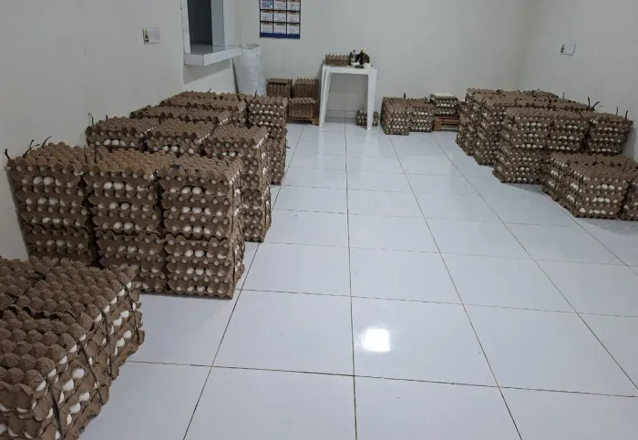 Caixa com 12 cartelas <br>Entregamos Aparti de 5 CXS