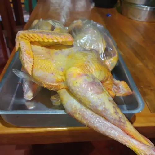 Frango caipira limpo - retirada Domingo - ENCOMENDA ATÉ SÁBADO 12:00