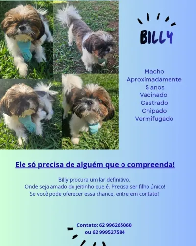 Doação de Animais