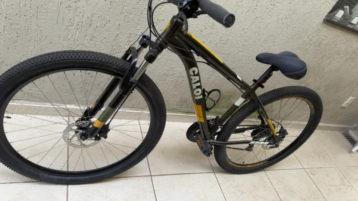 Caloi 29er Pro