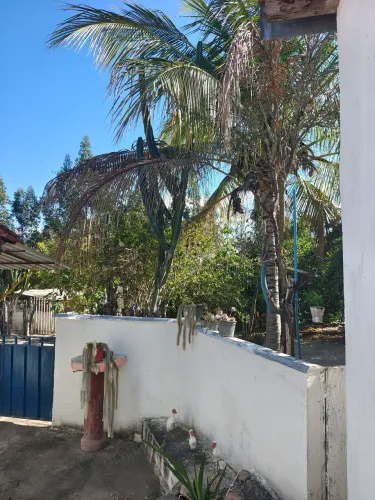 Vedo fazenda para plantio de café