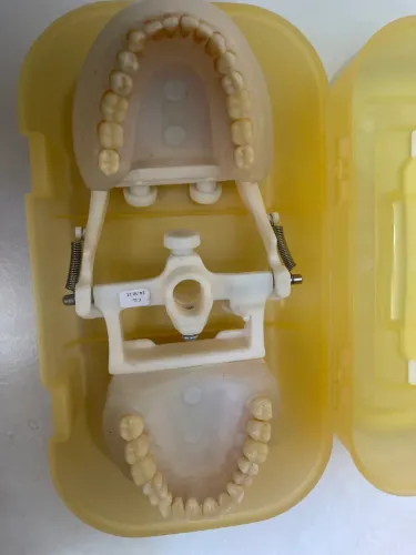 Manequim odontológico 