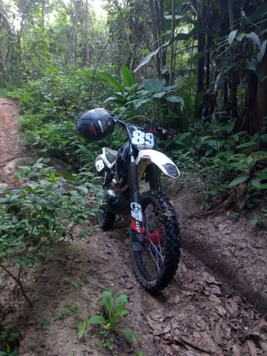 CRF 230 