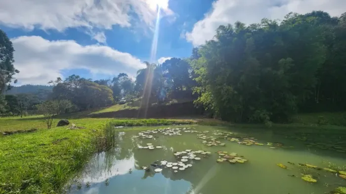 Terreno 5.000m2 para formação chácara - Divisa Campina gde/ Bocaiuva do Sul