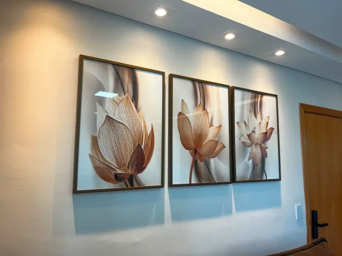 Trio de quadros Flor de Lótus