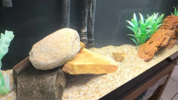 Aquário 90L com acessórios e móvel