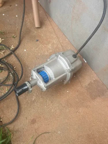 Bomba sapo