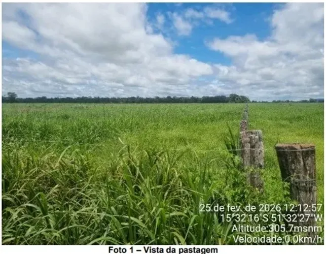 Imóvel rural no FAZENDA CAJAZEIRAS em JUSSARA